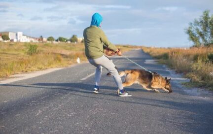 散歩する人を引っ張る犬